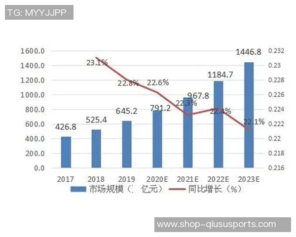 经济学视角下的足球产业发展与市场行为分析 经济学视角下的足球产业发展与市场行为分析